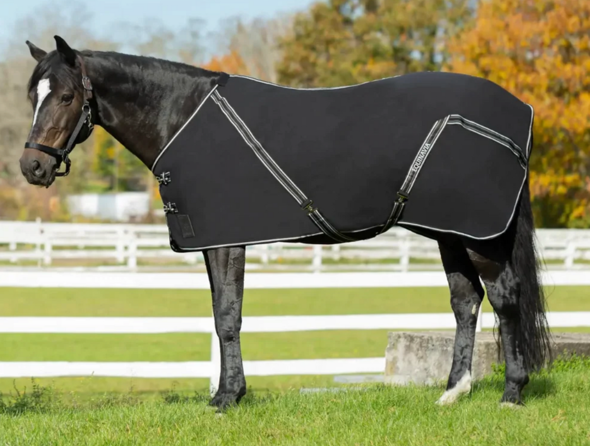 Black horse wearing an Equinavia Fryd cotton stable sheet in a fenced paddock