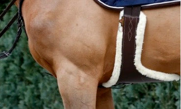 english saddle girth western cinch