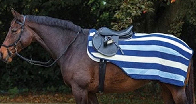 horse blanket horse sheet blue horseware rambo