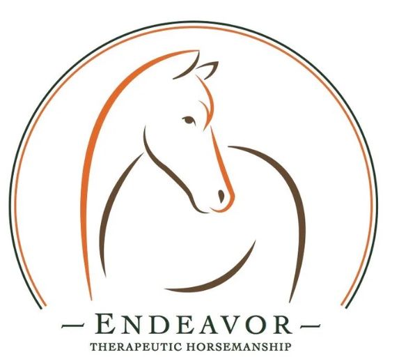 Euro Pro Thor Ankle Boots - Black / Size Medium