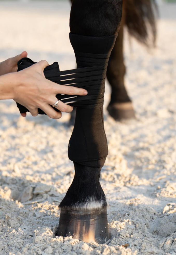 Anatomeq AirSupport Polos - Black / Horse Size NEW