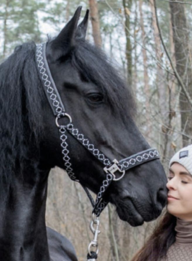 Fair Play Vega Bits Ceramic Halter - Black / Cob Size NEW