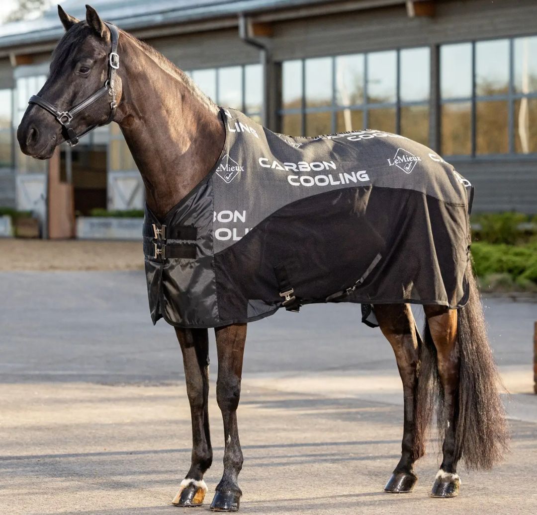 LeMieux Carbon Cooler Blanket - Black / Size 75" NEW