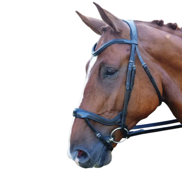 Red Barn Arena Ergonomic Snaffle Dressage Bridle - Black Full Horse Size