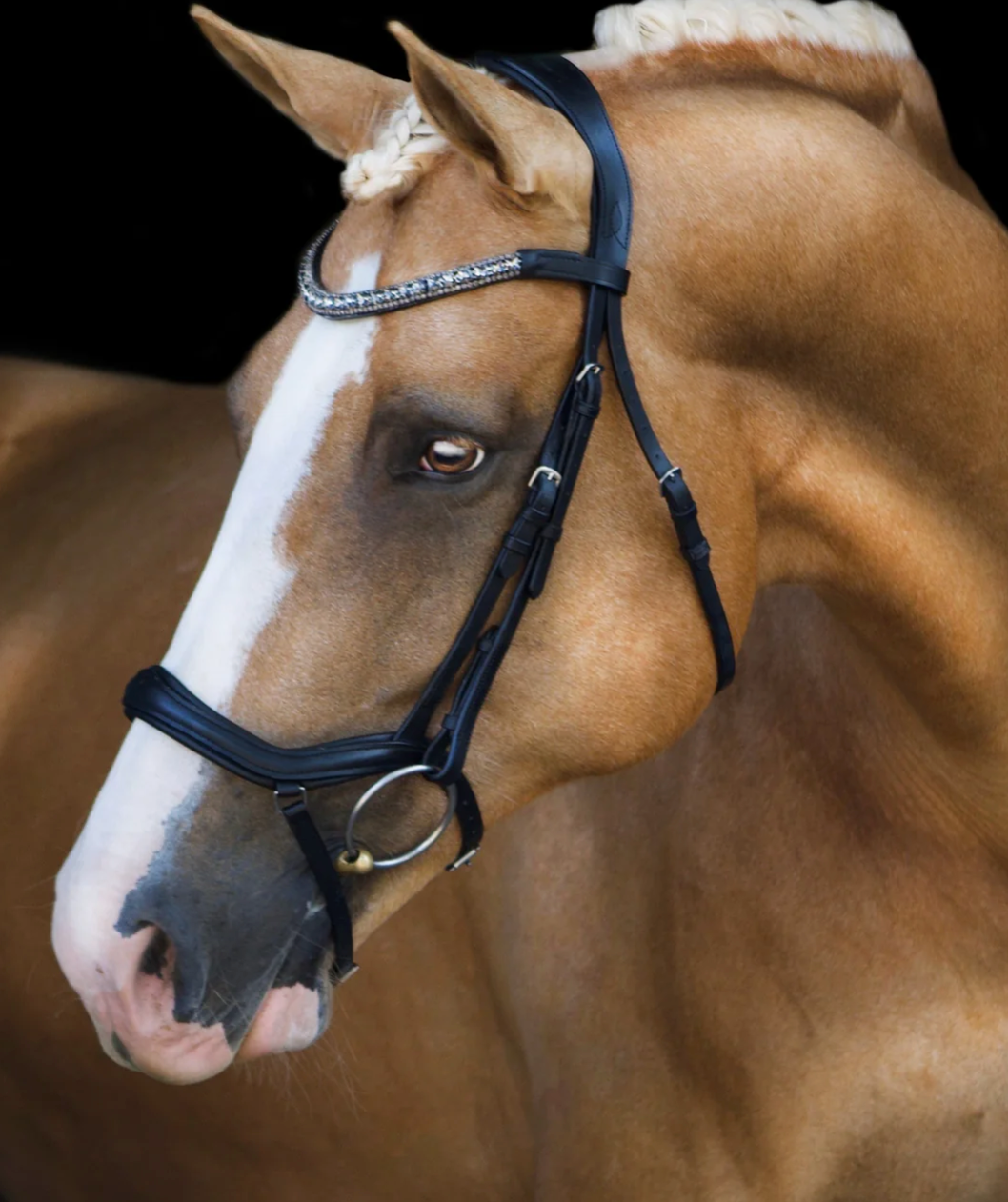 Lumiere Mila Anatomic Leather Bridle - Black / Horse Size NEW