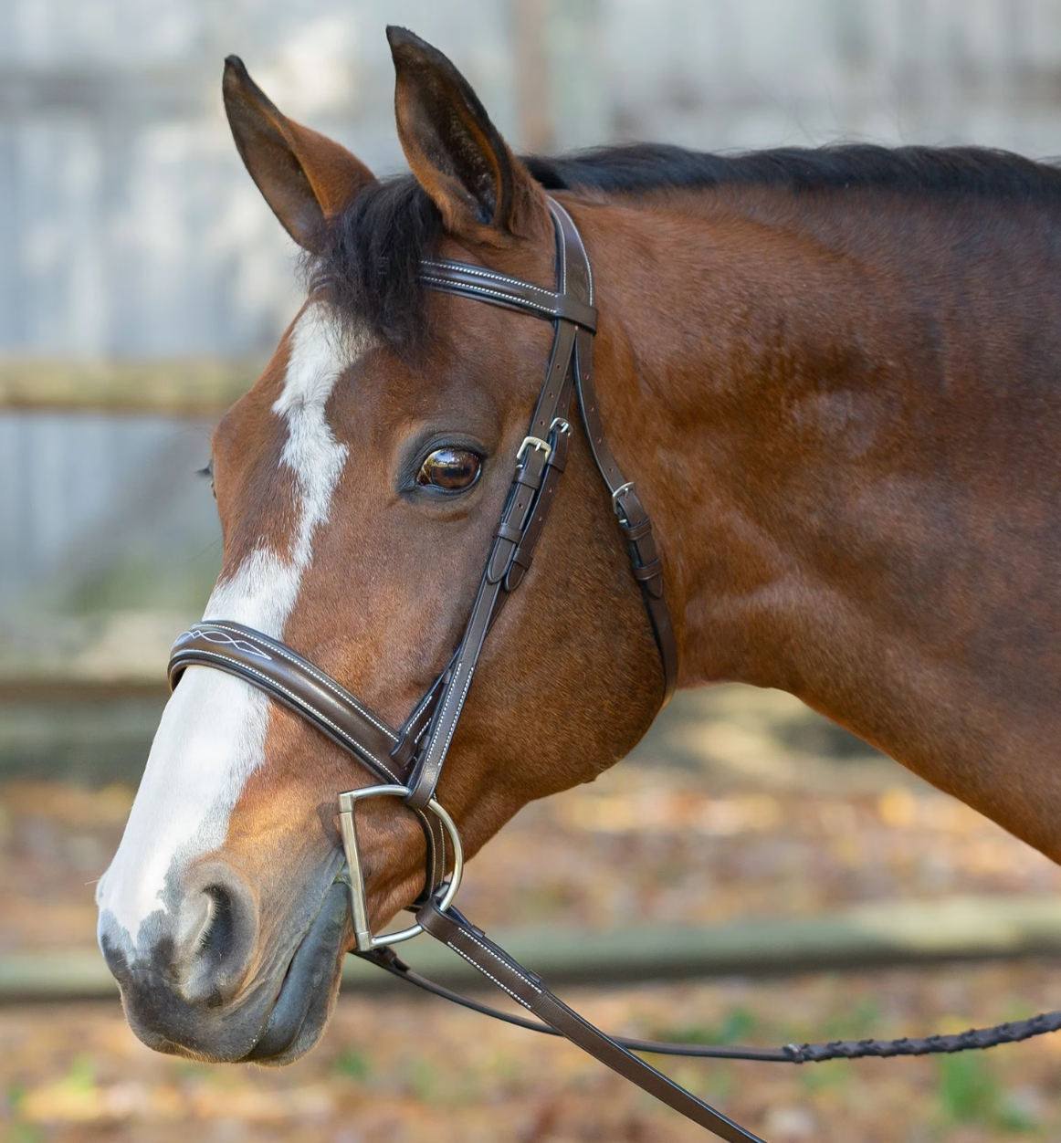 Equinavia Saga Wide Noseband Hunter Bridle with Reins - Horse Size NEW