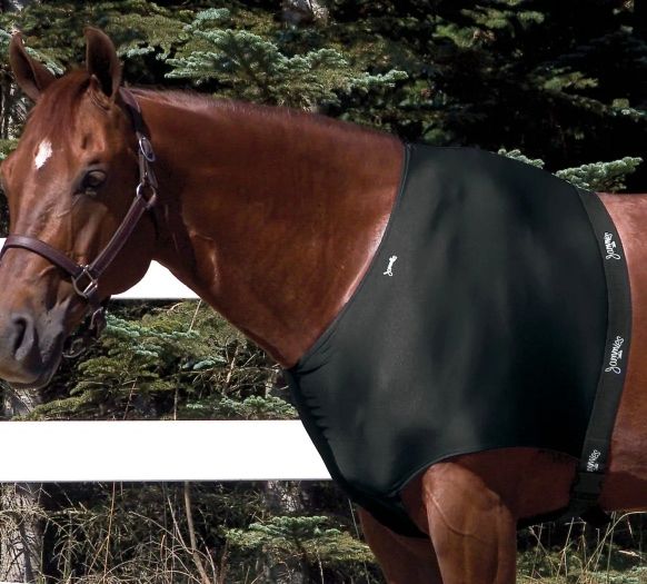 Jammies Shoulder Guard - Black in Size Medium