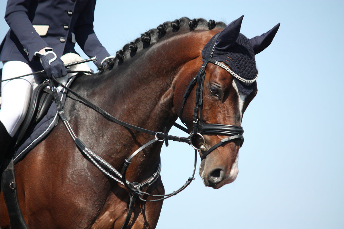 A hand holding a clear bag with a Tack and Tweed card, at a horse show.