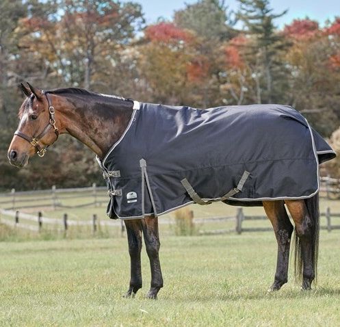 Smart Pak Deluxe Turnout Blanket Black, Size 78, Fill 360