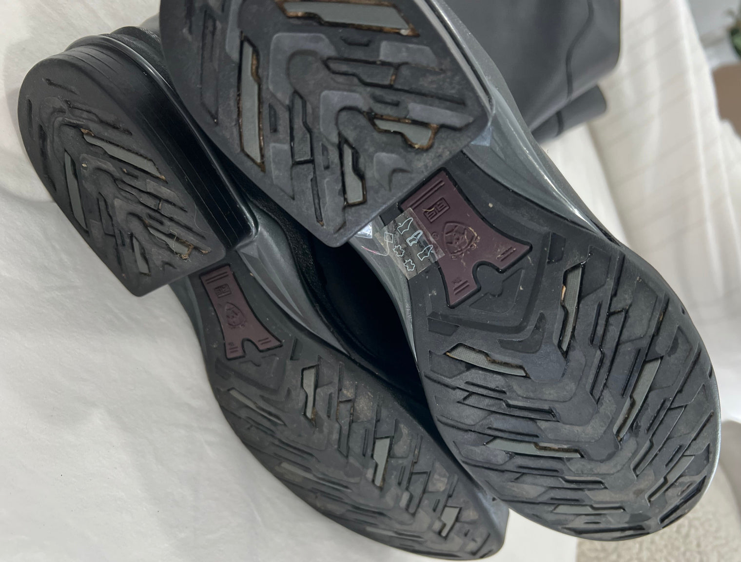 Black Ariat V-Sport Tall Zip Boots, 8B Regular Calf Short