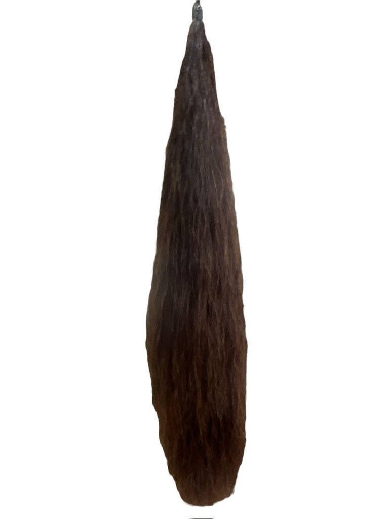 chestnut false tail 