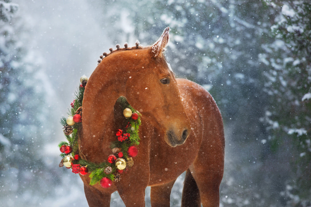 Tack and Tweed Gift Certificate - Digital Holiday