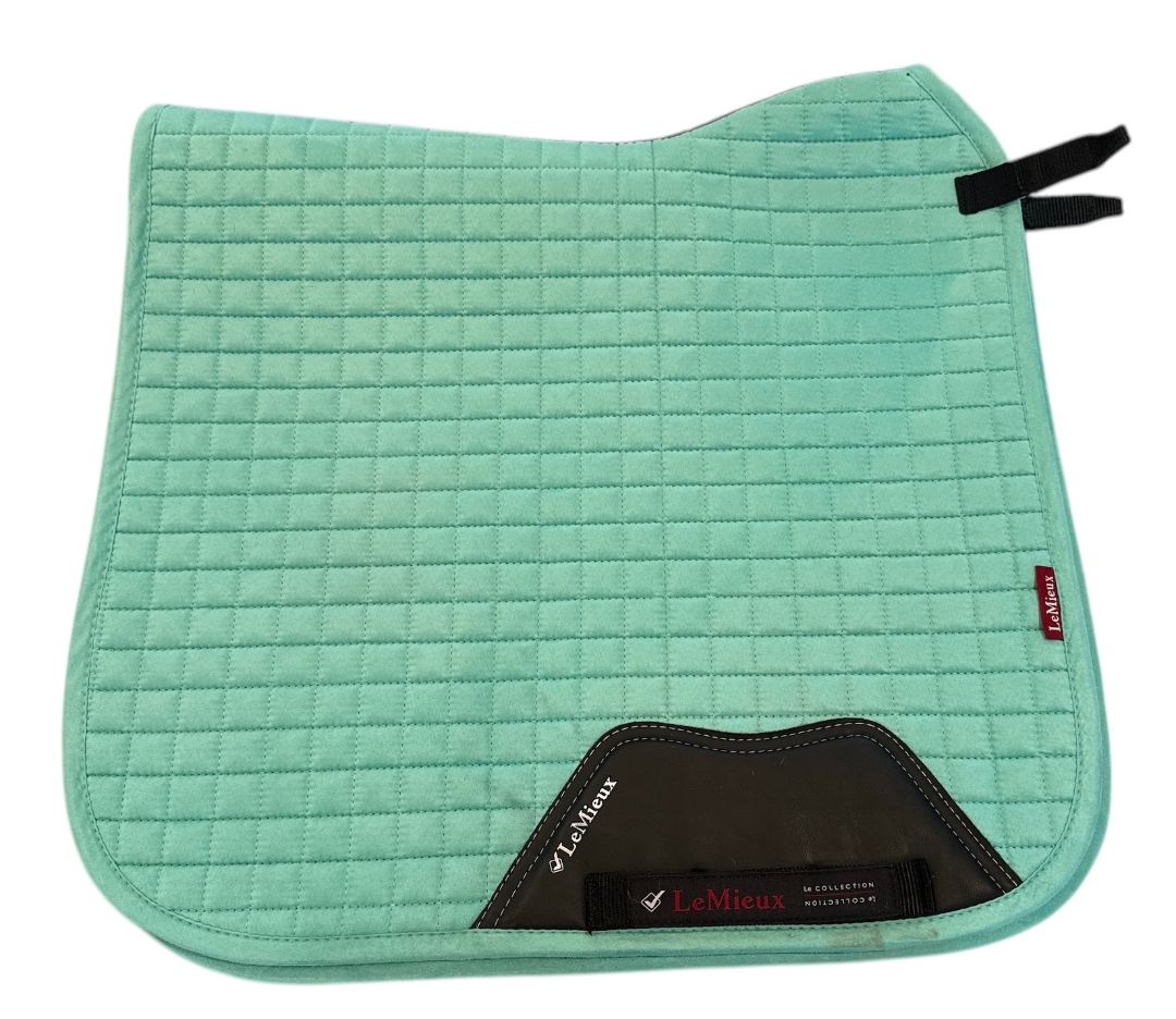 Used saddle pad