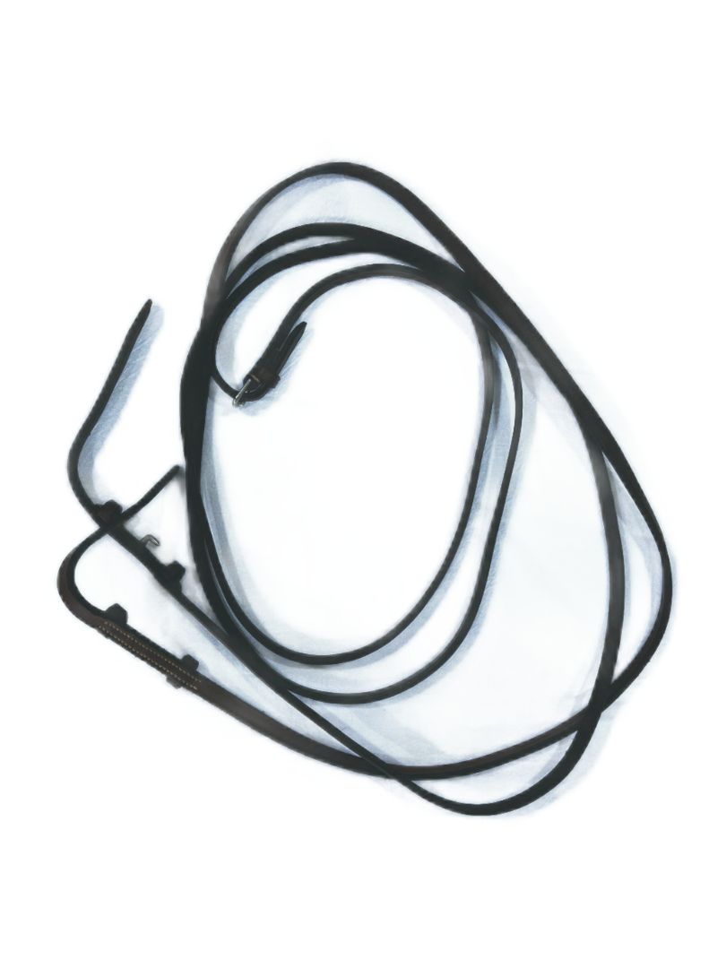 Brown Blue Ribbon Curb Reins Leather