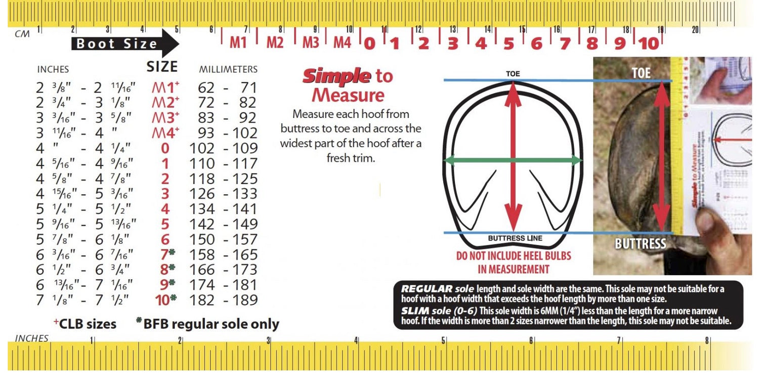 Cavallo Horse and Rider Hoof Trek Slim Boots (Set of 2) Size 3 - Black