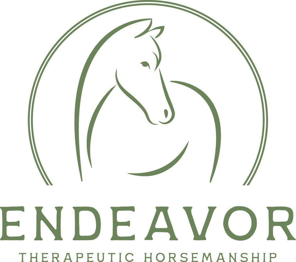 CWD Braided Hunter Reins - Brown / Full Size NEW