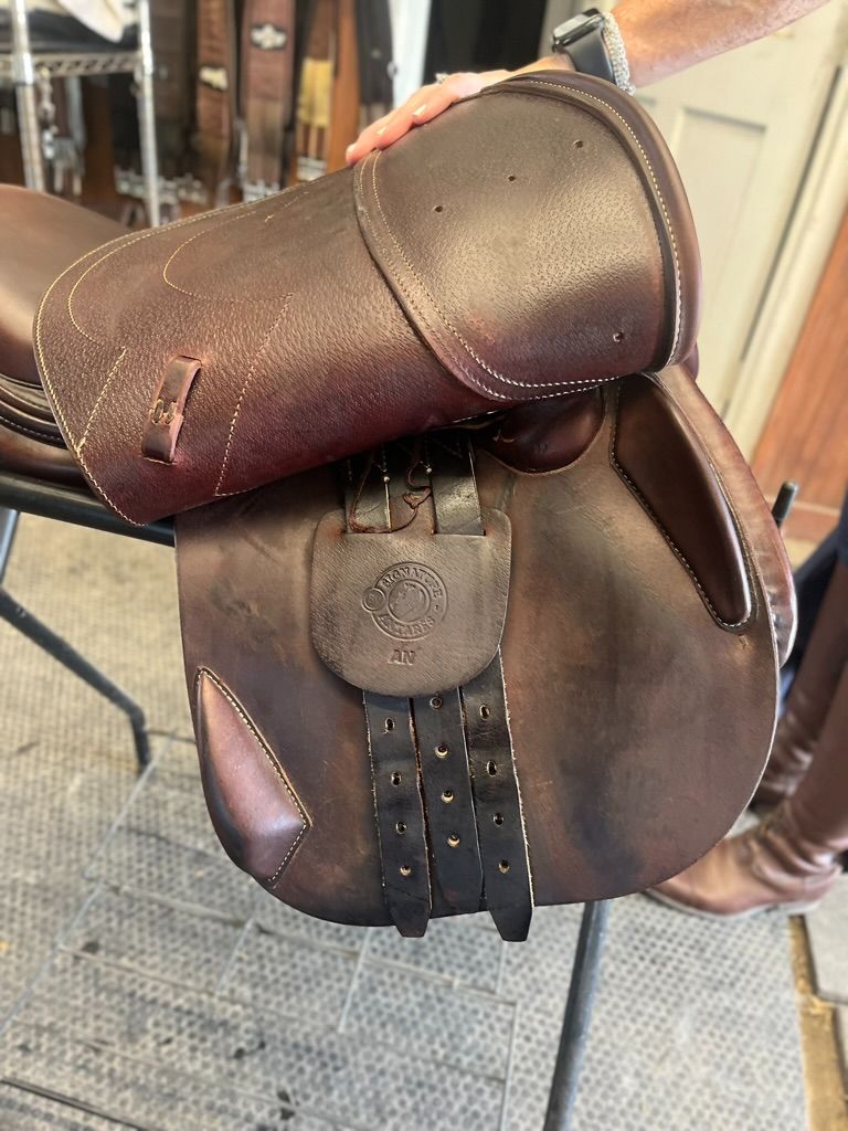 Antares Signature Jumping Saddle 17" 2022 3N