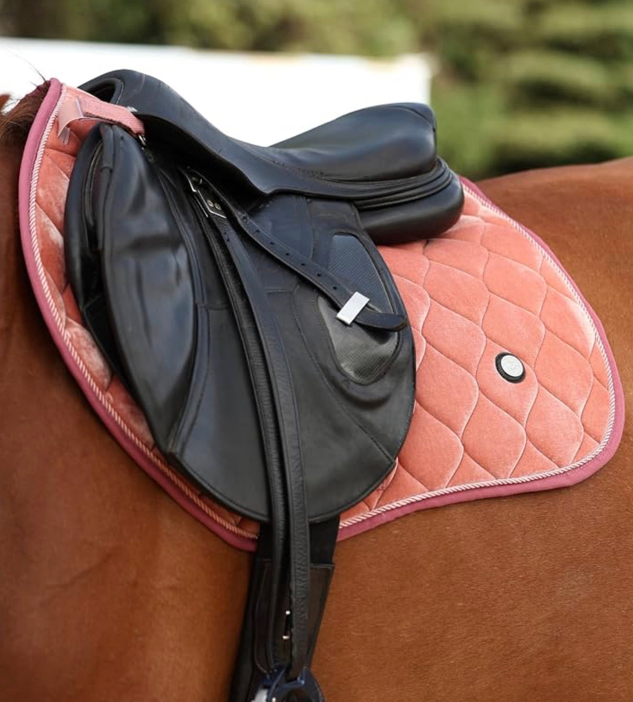 Harrison Howard Velvet Close Contact Saddle Pad - Salmon Pink NEW