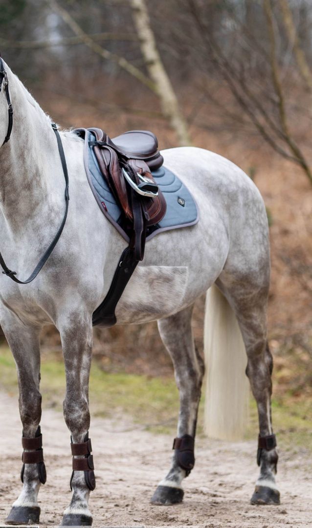 LeMieux Ultra Mesh Close Contact Square Pad - Grey