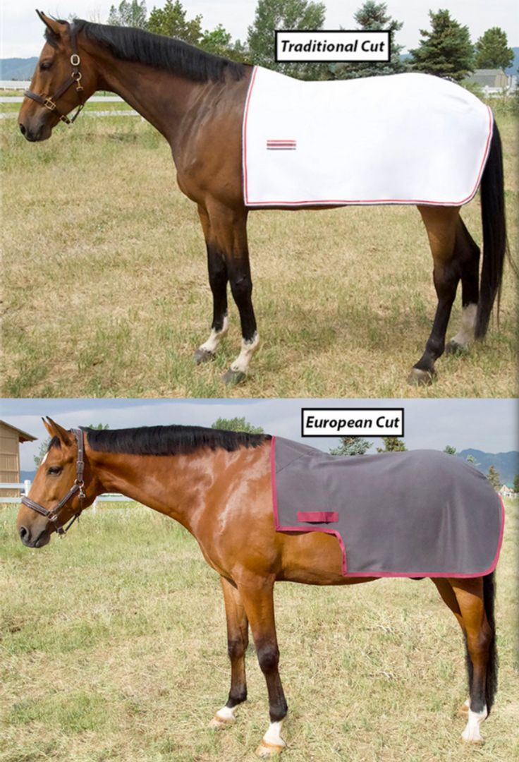 Jacks Coolerfleece Quarter Sheet - Navy Size Small