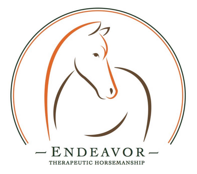 Broken Segunda Hunter D-Ring Snaffle Bit 5 1/2"