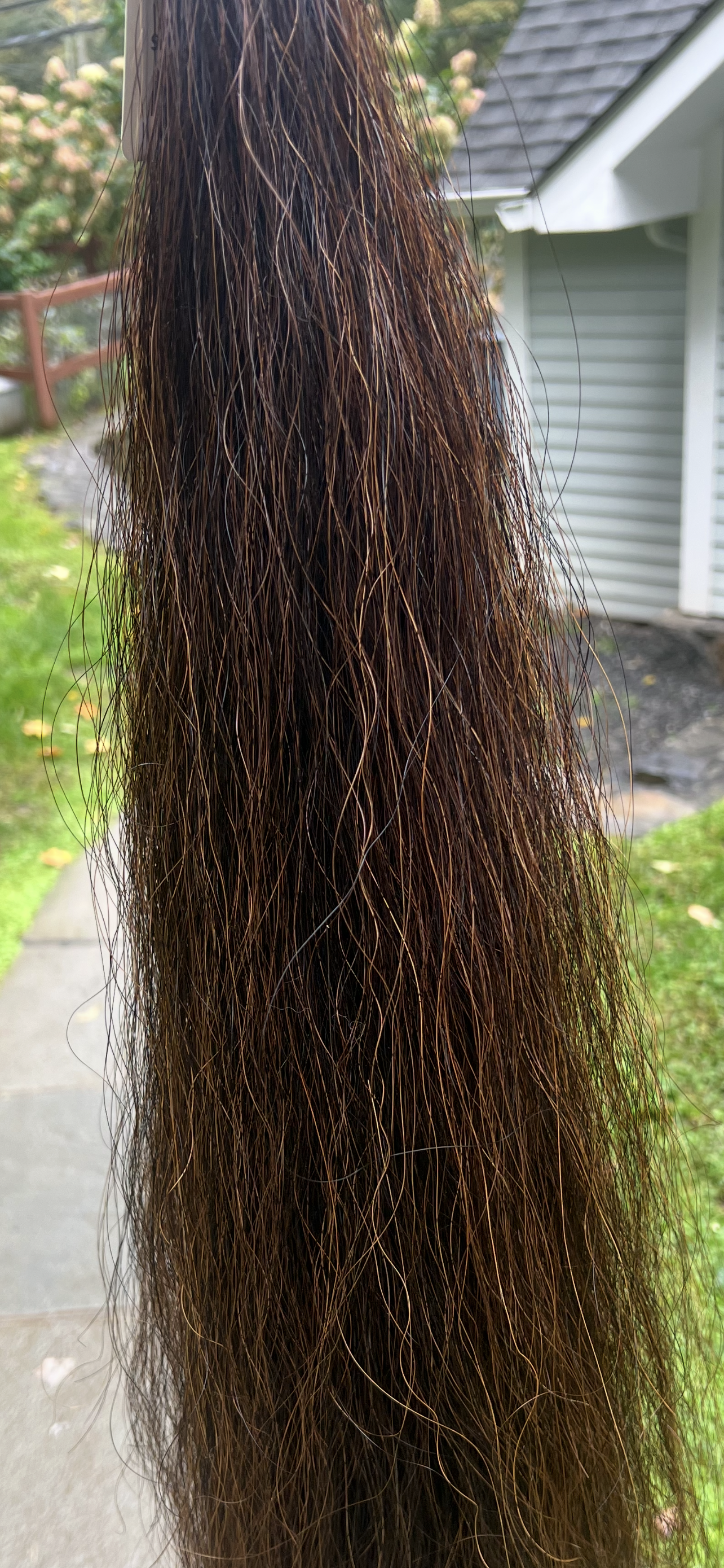 Hunter Tail Extension Medium Sorrel / Chestnut Mix - 38"