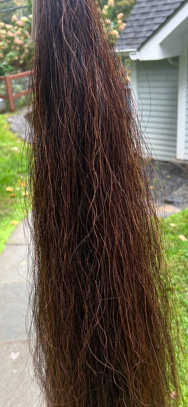 Hunter Tail Extension Medium Sorrel / Chestnut Mix - 38"