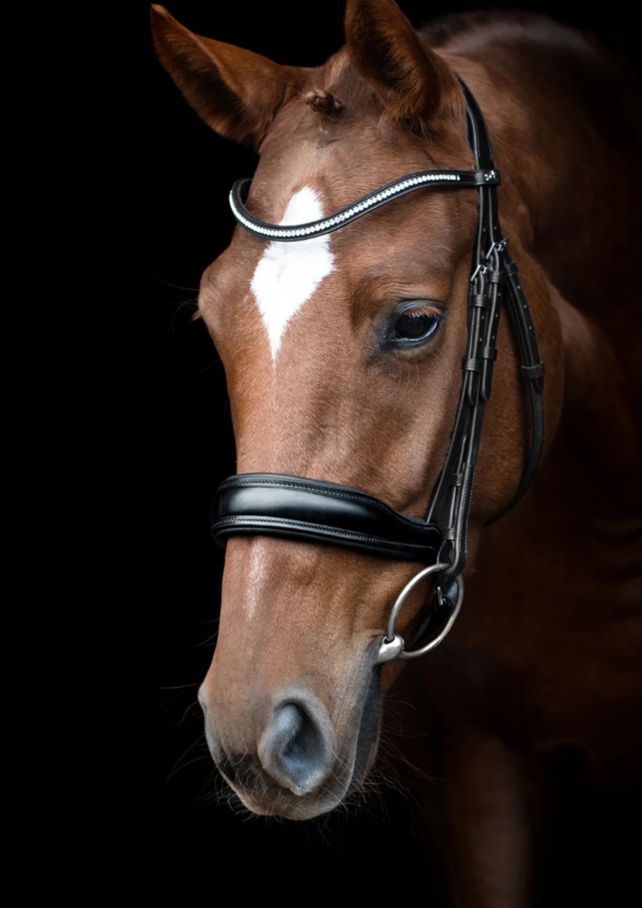 Schockemohle Slimford Anatomical Bridle, Black/Silver Full/Horse