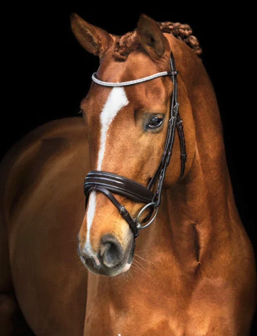 Schockemohle Manhattan Dressage Bridle, Espresso/Brown Full Size NEW