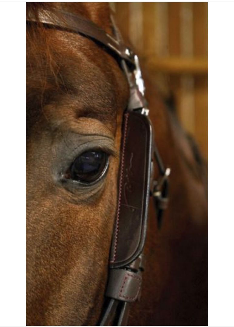 Dy'on Blinkers Brown Full Size