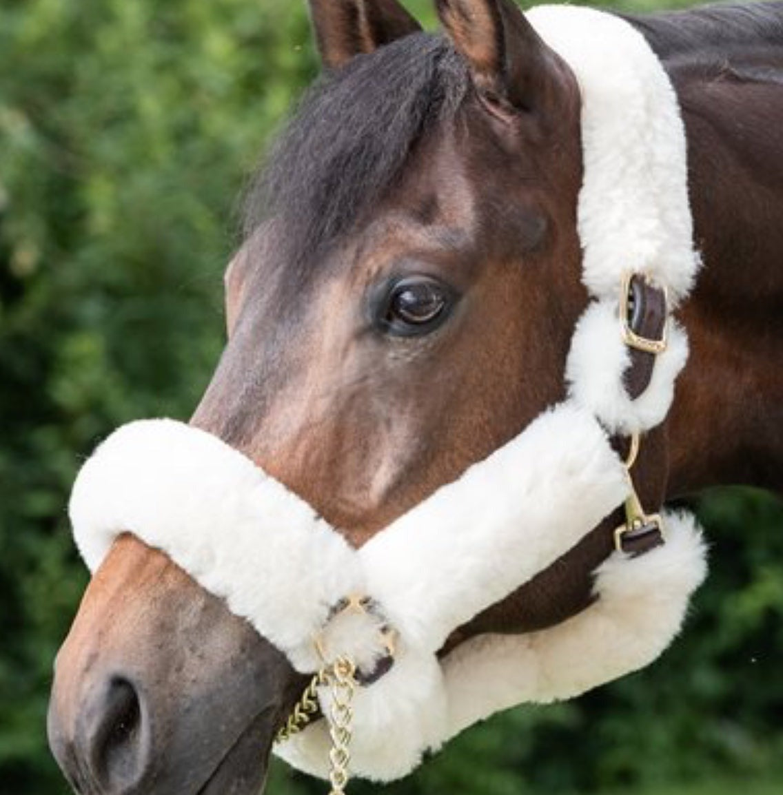 Premium Sheepskin Shipping Halter - Oversize