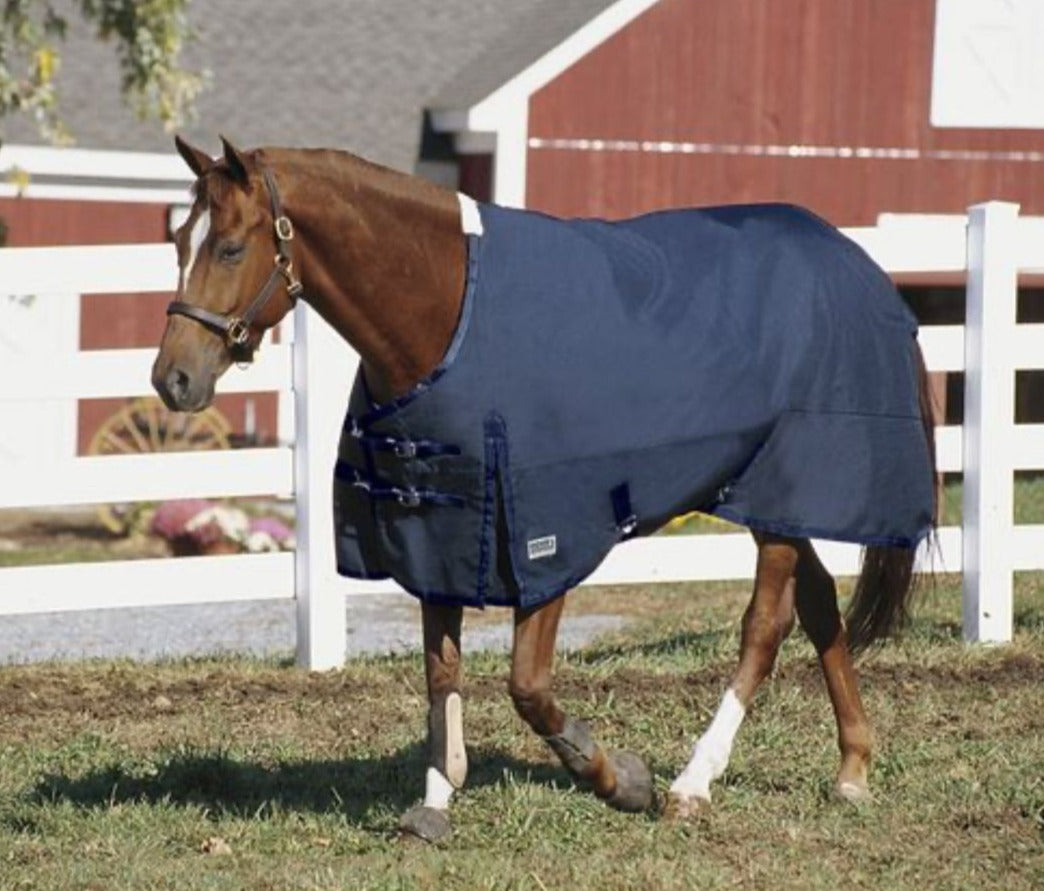 Dover Rider’s International Medium-Weight Turnout Blanket 80" Navy