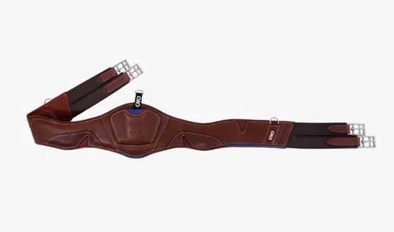 CWD Mademoiselle Anatomic Jumping Girth Brown w/ Blue Details Size 135 / 54”