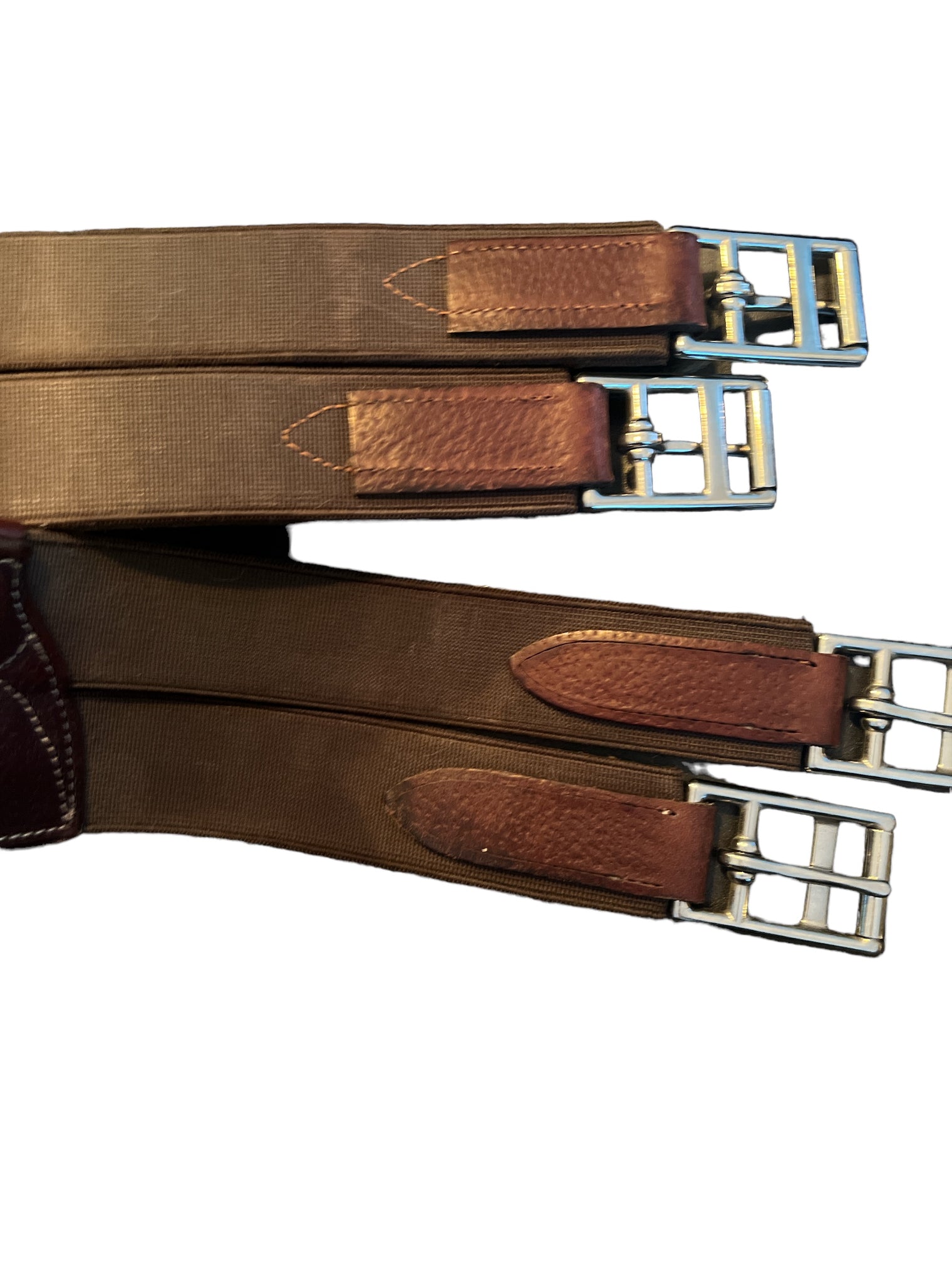 CWD Mademoiselle Anatomic Jumping Girth Brown w/ Blue Details Size 135 / 54”