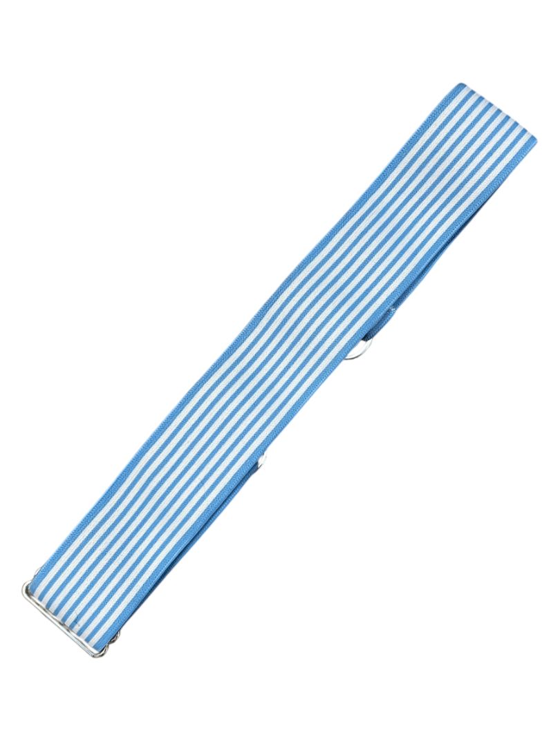 Ellany Silver Snaffle Belt 2" - Blue / White Stripes - One Size