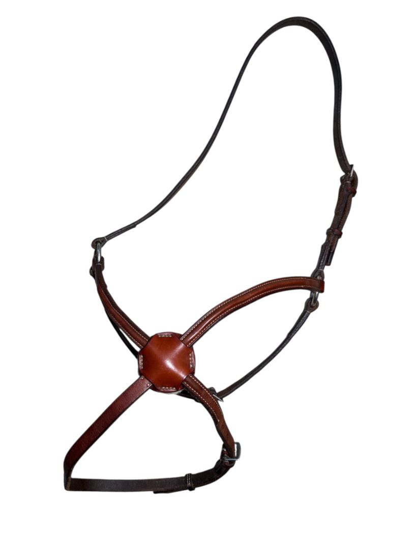Edgewood Plain Raised Leather Figure 8 Noseband with Padded Plain Brow Band- Full/Horse Size in New Market