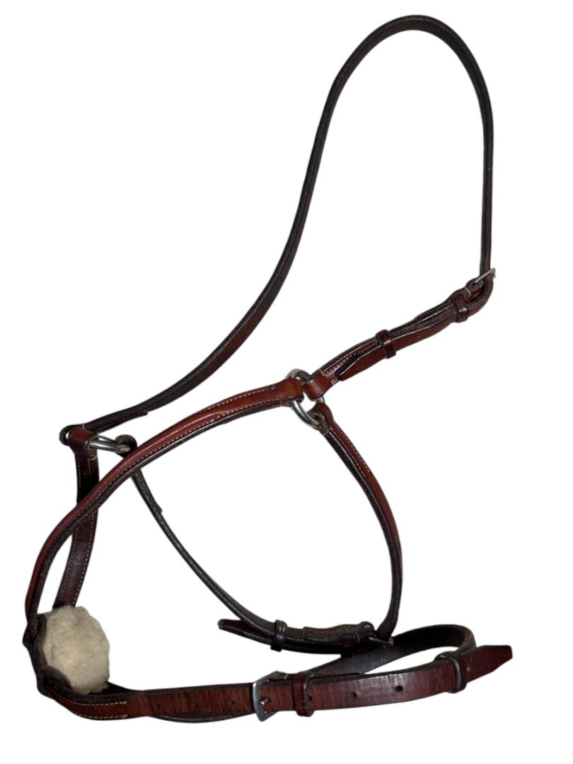 Edgewood Plain Raised Leather Figure 8 Noseband with Padded Plain Brow Band- Full/Horse Size in New Market
