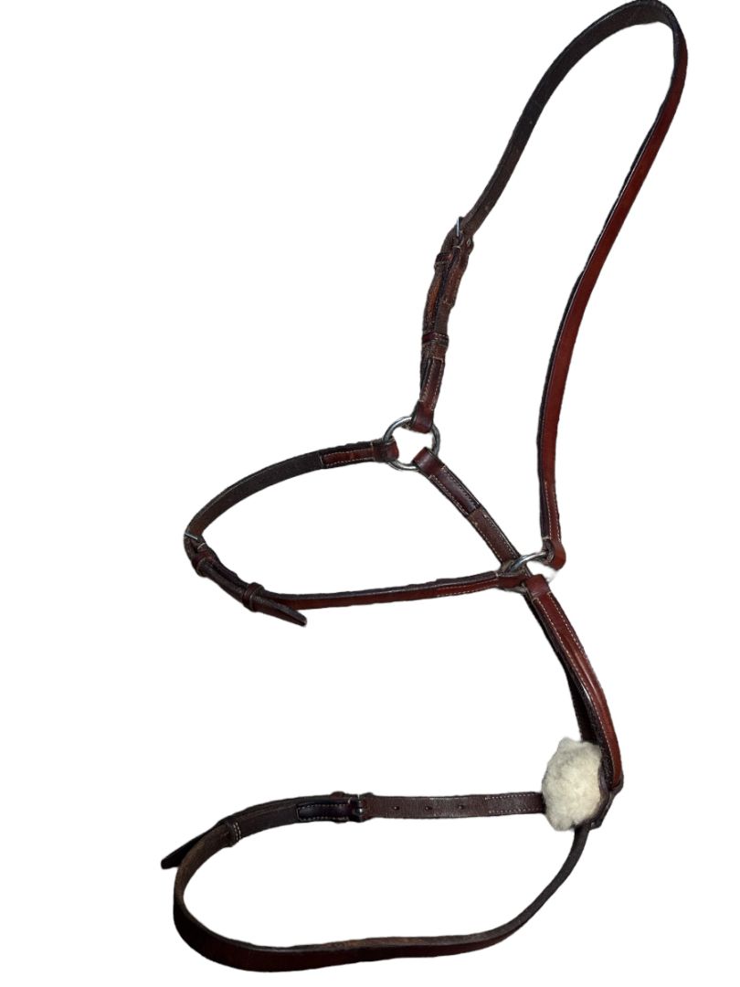 Edgewood Plain Raised Leather Figure 8 Noseband with Padded Plain Brow Band- Full/Horse Size in New Market