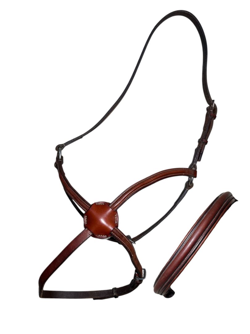 Edgewood Plain Raised Leather Figure 8 Noseband with Padded Plain Brow Band- Full/Horse Size in New Market