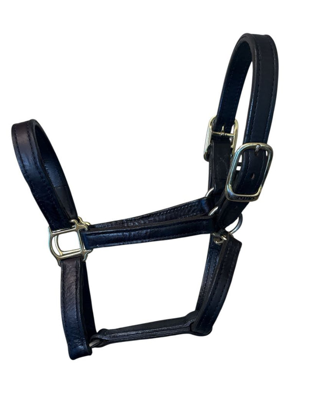 Perri's Leather 1" Turnout Halter - Havana Brown/ Cob Size