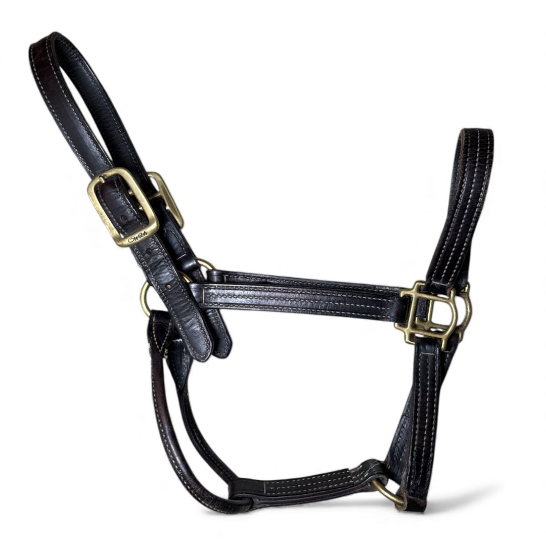 Walsh Triple Stitched Leather Halter - Horse/Full Size