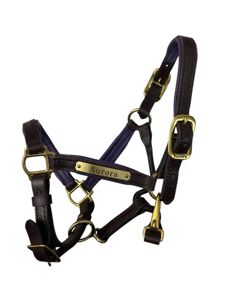 Perri's Padded Leather Halter - Purple / Havana Pony Size NEW