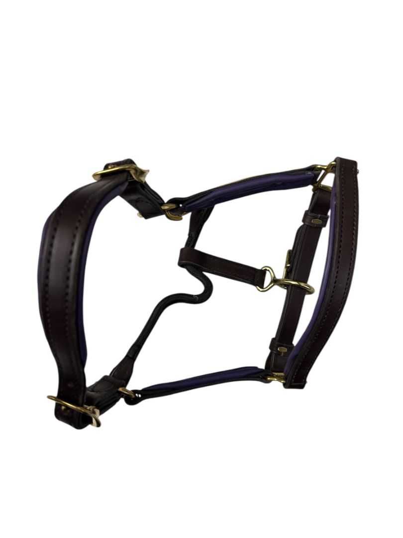 Perri's Padded Leather Halter - Purple / Havana Pony Size NEW