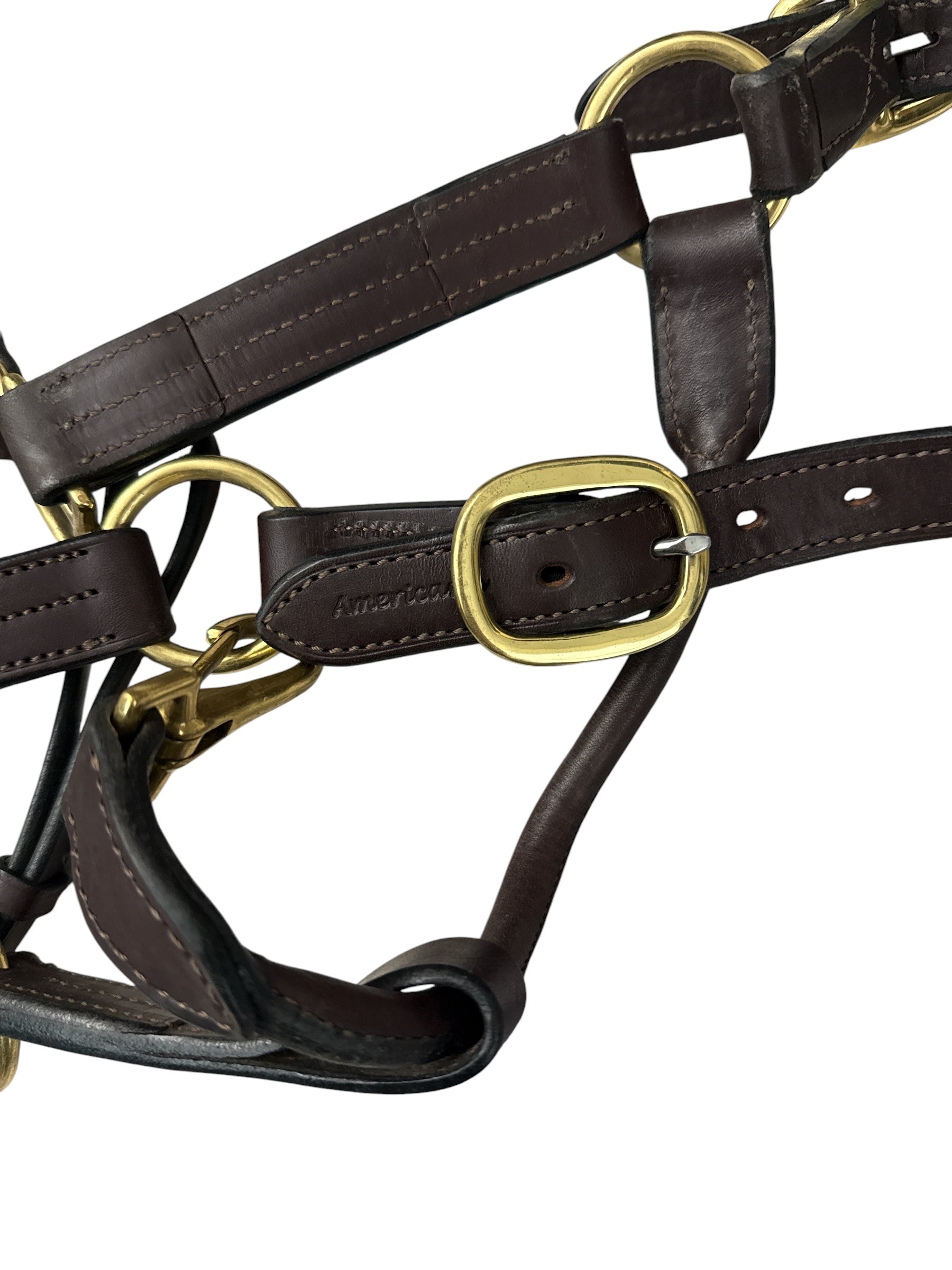 HK Americana Fancy Stitched Padded Leather Halter - Oakbark Brown / Cob