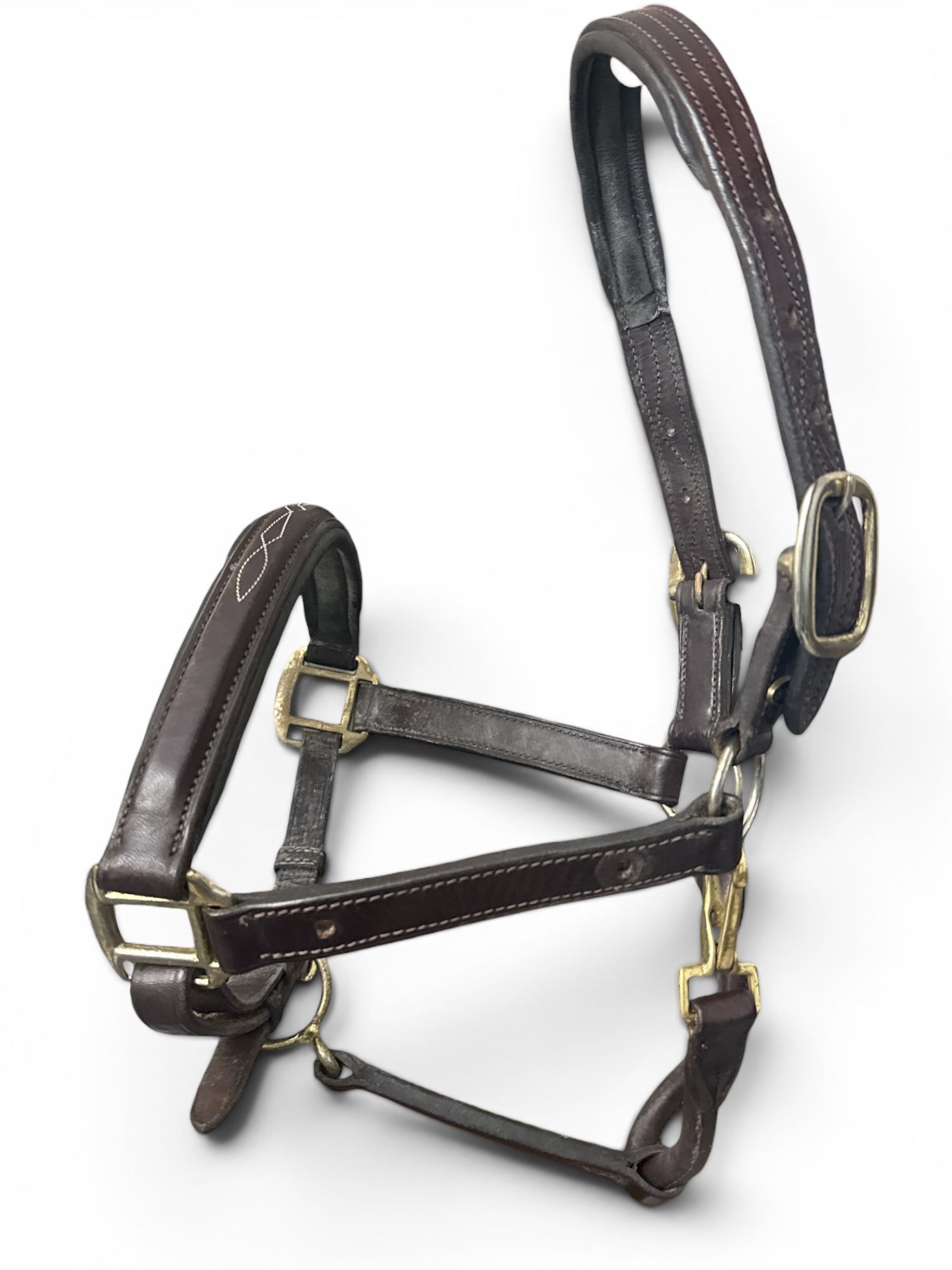 Ovation Fancy Raised Padded Halter - Brown / Cob