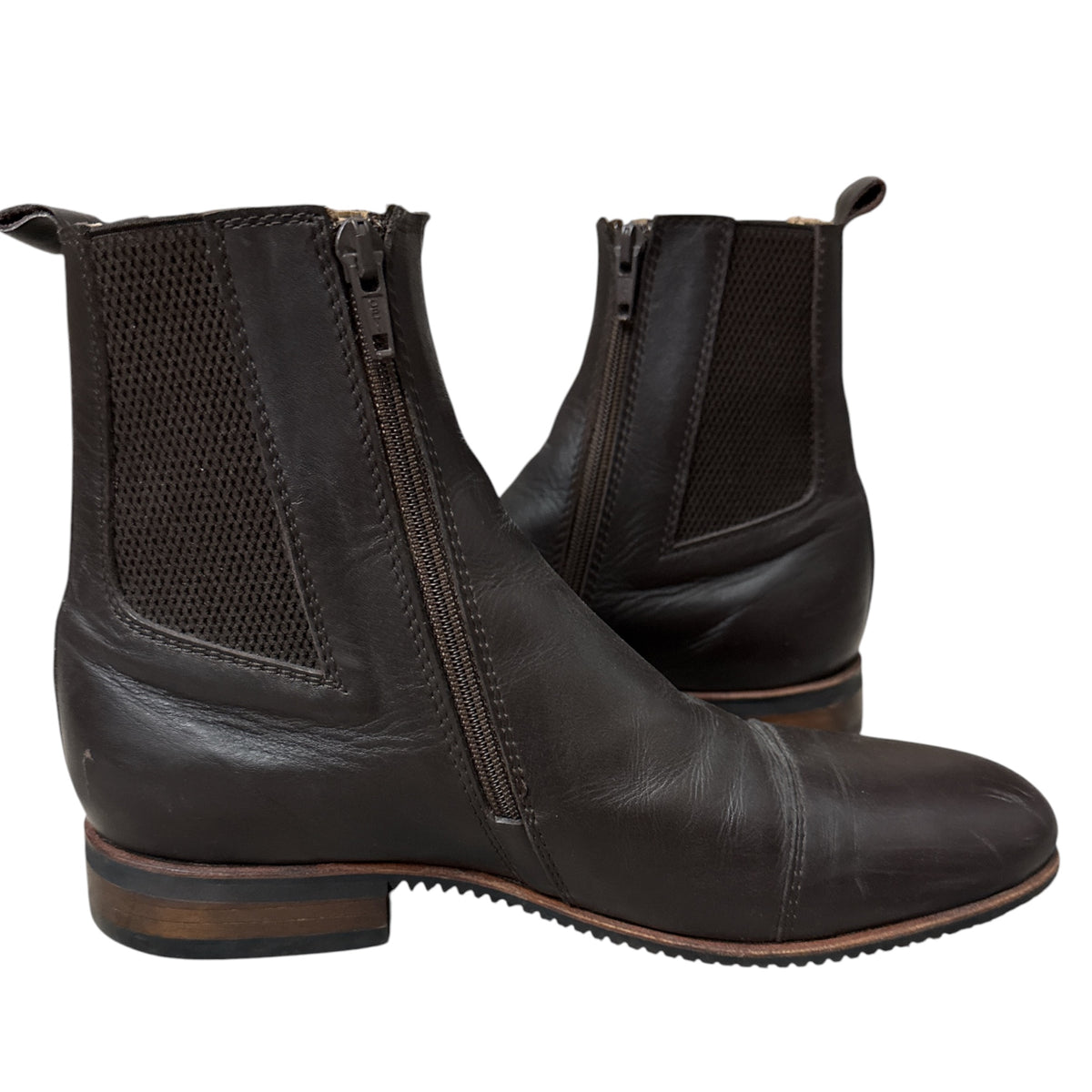Fabbri Women's Zip Pro Paddock Boots- Brown / Size 39