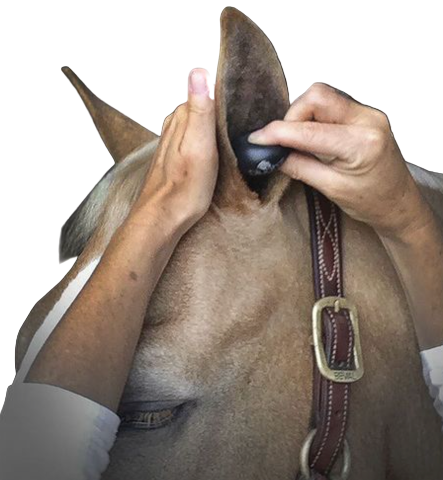 Plughz Ear Plugs - Horse Size /  3 Pairs  NEW