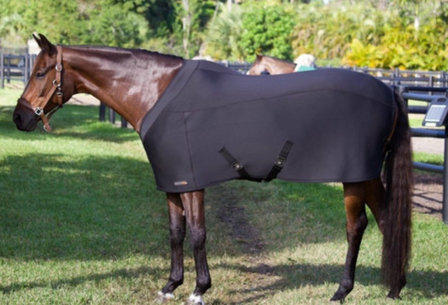 Anatomeq Fit Blanket - Black / Size Medium 74" - 78 NEW