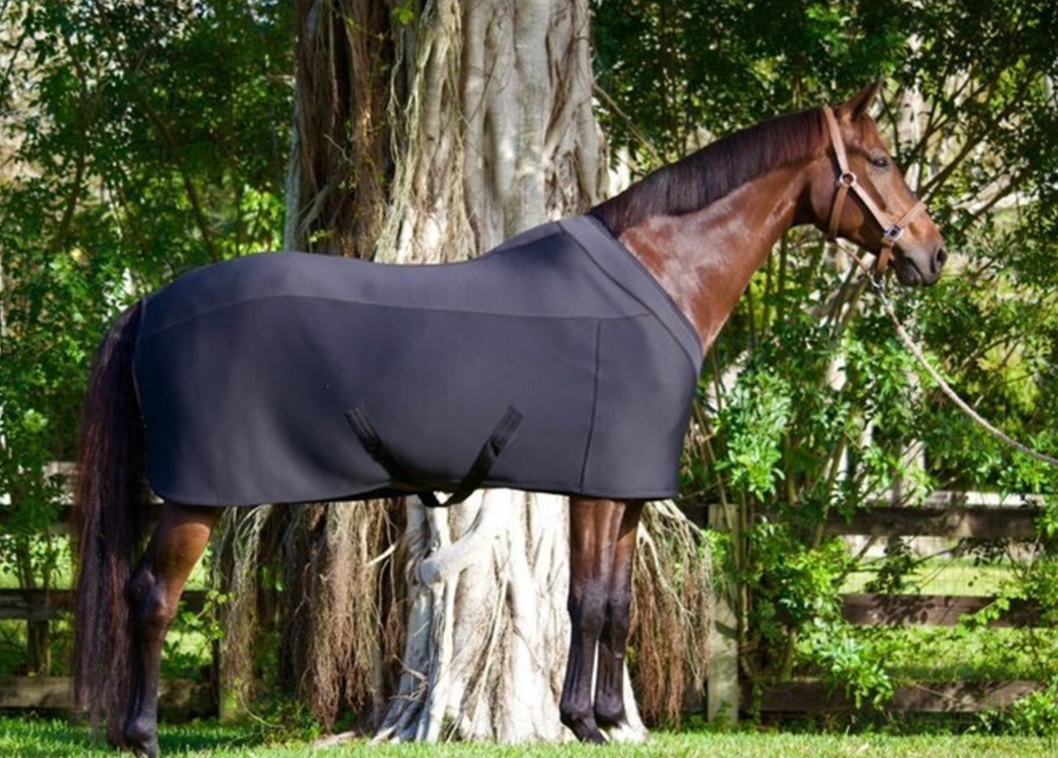 Anatomeq Fit Blanket - Black / Size Medium 74" - 78 NEW