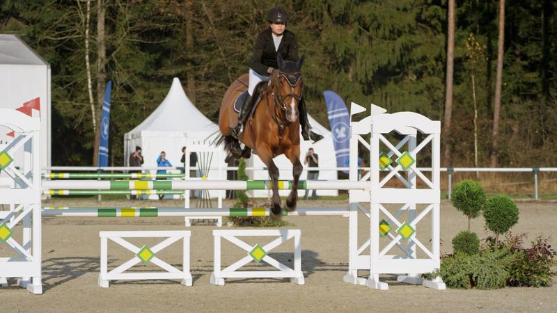 A rider in a dark show coat and helmet clears an oxer on a bay horse in a sunny show ring.